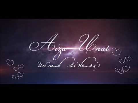 Camel Ride | Desert Safari Experience