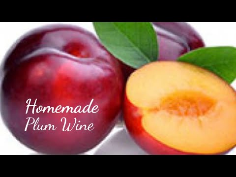 "🍑 How to Make Delicious Homemade Plum Wine: A Step-by-Step Guide! 🍷✨"