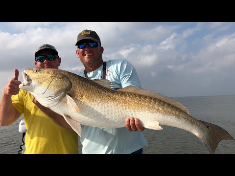 Giant Red Drum {Catch Clean Cook} Largest Redfish I've ever caught!