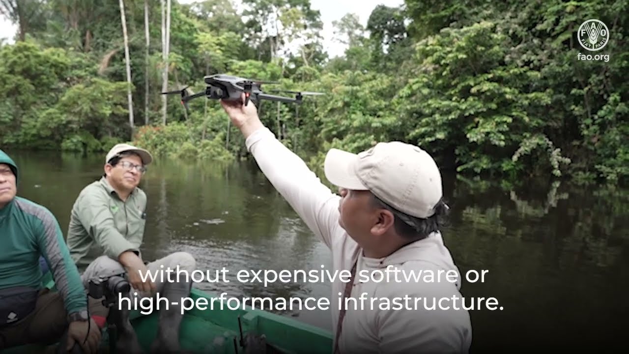 SEPAL in action: Turning satellite data into better forest decisions