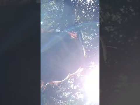 📍Mayú Sumaj, Córdoba, Argentina 🇦🇷 #travelshorts #córdoba #rutasargentinas #memoria