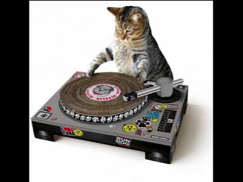 Mr animal mix tujamo la fuente Feat Tujamo Drop it (official music)