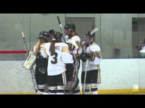 2016 MAHA Girls 19U Tier I State Final - USA Eagles vs. Honeybaked