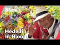 A Kaleidoscope Of Flowers Inside Medellín S World Famous Flower Festival SLICE