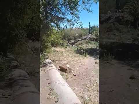 subiendo al Cerro Uritorco, Capilla del Monte #cordoba #travel