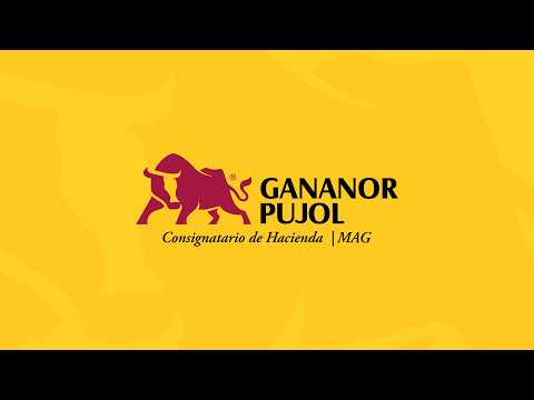 PRIMER REMATE CABAÑA LOS GUASUNCHOS CHACO