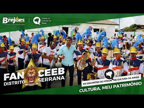 FanCEEB no Cortejo Cultura Viva | Brejões