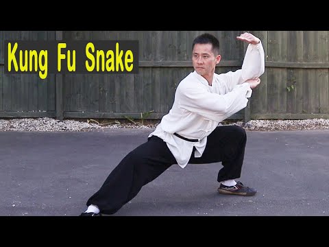 Shaolin Kung-Fu Snake Style Basic Training For Beginners