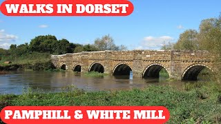 WALKS IN DORSET at PAMPHILL & THE WHITE MILL (4K)