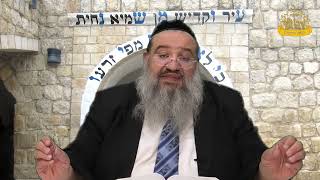 פניני הזוהר על הפרשה עם הרב רחמים נמני | פרשת ויחי (מוסדות כיסא רחמים) - התמונה מוצגת ישירות מתוך אתר האינטרנט יוטיוב. זכויות היוצרים בתמונה שייכות ליוצרה. קישור קרדיט למקור התוכן נמצא בתוך דף הסרטון