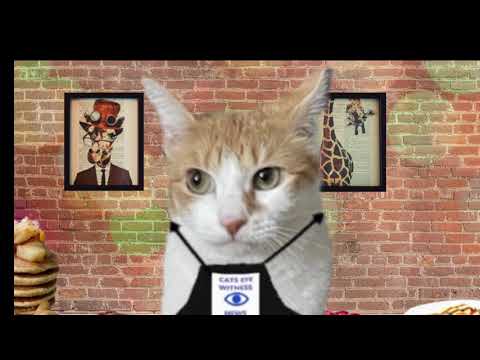 CATS EYE WITNESS NEWS - TV SERIES / SEASON 1 - EPISODE 3