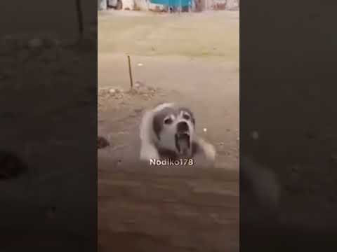 ☠️☠️☠️☠️☠️☠️☠️☠️☠️☠️☠️