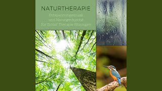 Schlaflieder zum Besser Schlafen