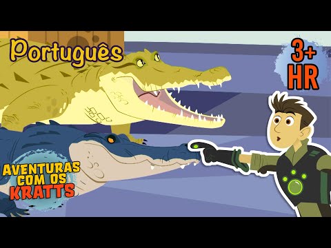 Crocodilos ou jacarés? | Quem é mais forte? [episódios completos] Aventuras com os Kratts