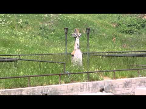 Situl arheologic de la Traian, punct „La Izvoare”