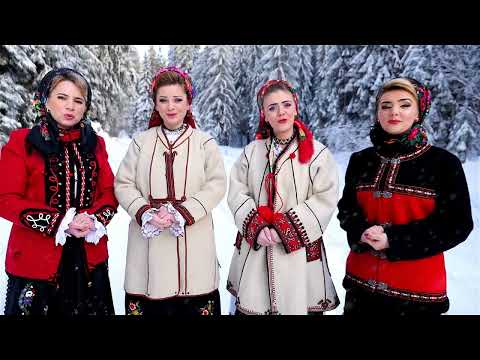 Simona Costin, Otilia Haragoș Seghedi, Anamaria Gal și Violeta Gherman - Venim s-aducem veste bună