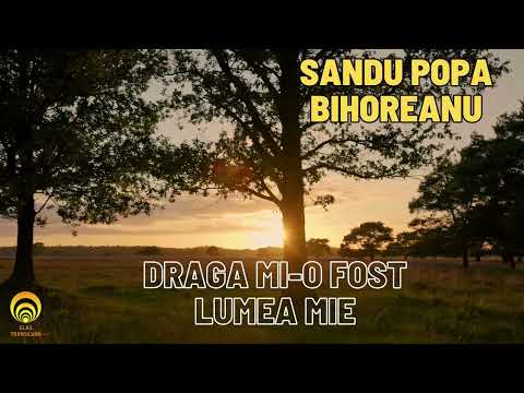 Sandu Popa Bihoreanul - Draga mi-o fost lumea mie (din repertoriul Vasile Iova)