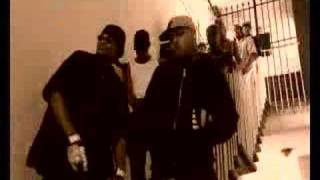 MD7 - SILENT SCREAMS