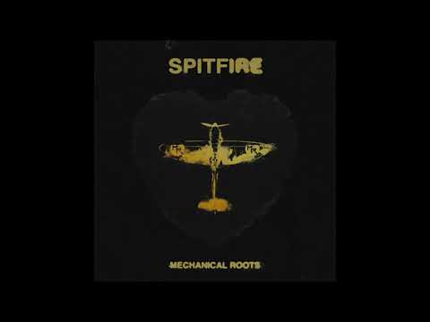 Mechanical Roots - Spitfire (OFFICIAL AUDIO)