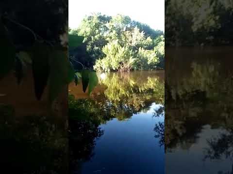 #coloturbo parque municipal de Pando canelones Uruguay cegundos de paz