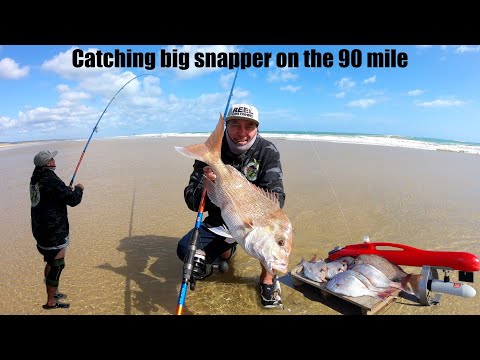 Big snapper on the surfcaster - Dodging cyclones and floods - back on the magical 90mile - part 2