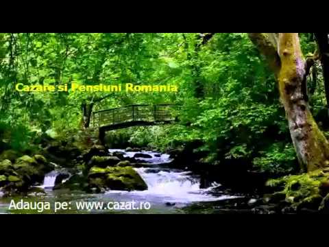 Cazare Trestioara, Prahova - Cazat.ro