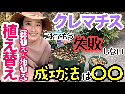 クレマチスの植え方は？おまけとして、適切にメンテナンスしてトリミングするためのヒントもお届けします。  庭園