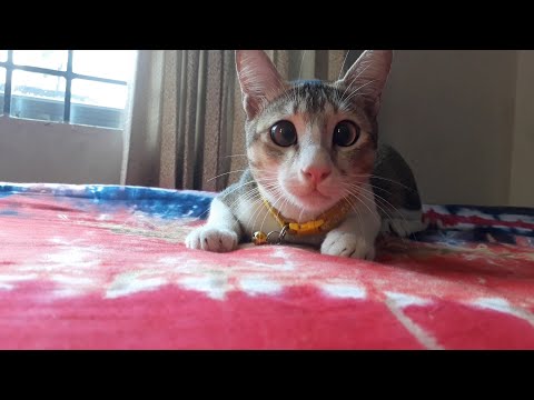 LEARN THE VARIATIONS OF MODE FROM JHUN JHUN