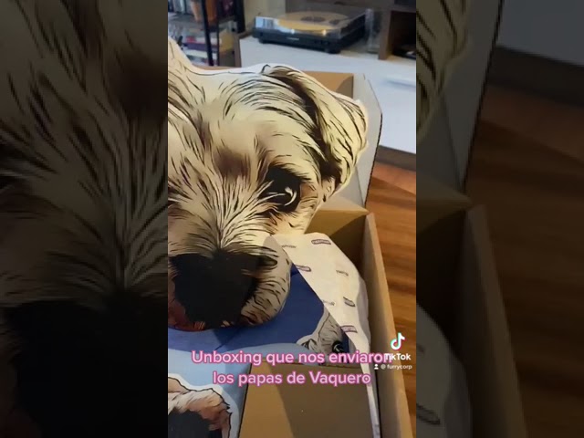 Vídeo relacionado con Eletizy Almohadas Imagen Personalizadas en Forma de Mascota, Almohada Divertida Personalizada con Mascota Personas, impresión de Doble Cara para cumpleaños,Acción de Gracias,Navidad,Halloween (35cm)