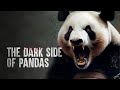 How to Survive a Giant Panda Attack