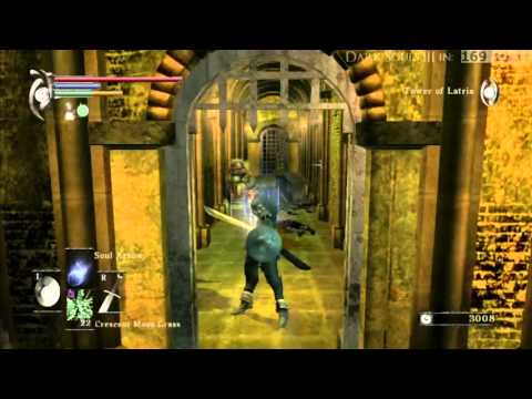 Demon's Souls Backwards Camera Run (Pt. 2)