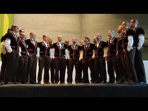 S' isch emol en Älpler gsi von Walter Amrein