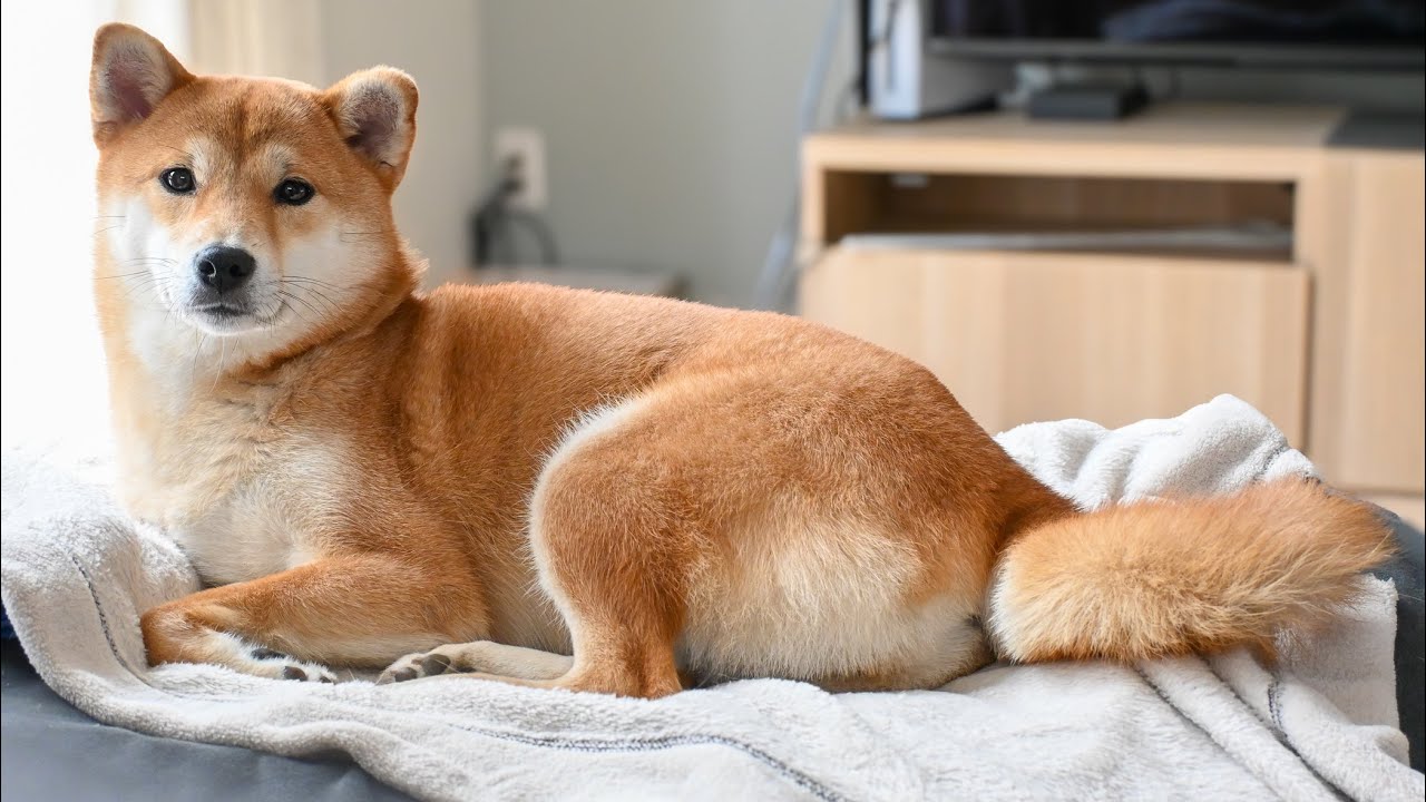 【終わりの始まり】みなさんさようなら