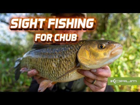 Sight Fishing For Chub