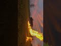 Butane Explosion￼