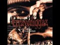 Diary Of A Madman Gravediggaz