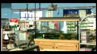 Pet Stores Melbourne - Living Jungle 1800 Jungle