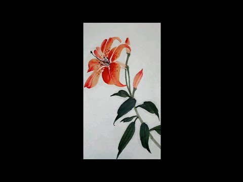 百合花畫