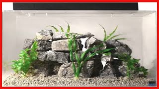 SeaClear 20 gal Acrylic Aquarium Combo Set, 24 by 13 by 16, Clear