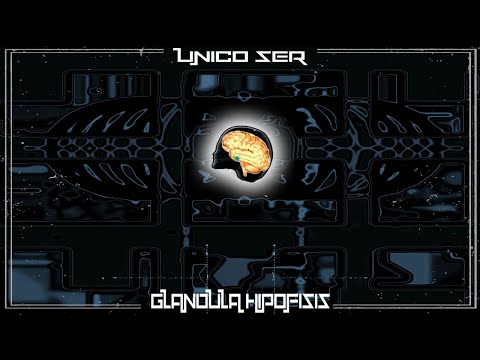 5 - MEDRA  FT. Inkilino EightySix x Thomas Bongbadil x Akajavier