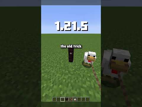 Place infinite Leash Knots in Survival #minecraft