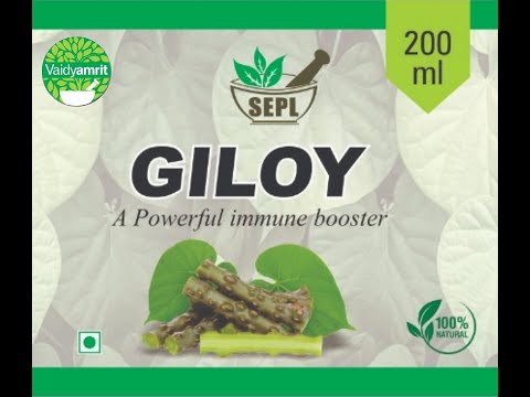Sepl giloy immune booster ayurvedic syrup, 200 ml, non presc...
