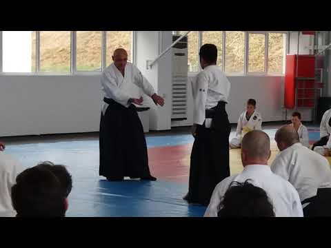 Seminar in Varna 15-17.06.2017 - Michele Quaranta - Video 7