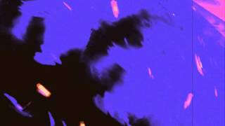 Raica - 9 [Greta Cottage Woodpile]