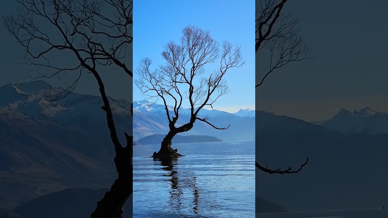 YouTube Short thumbnail