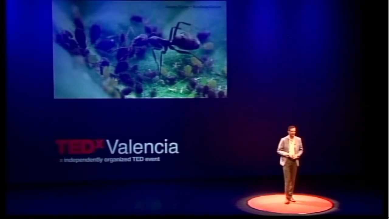 Renovacion urbana sostenible: Bruno Sauer at TEDxValencia