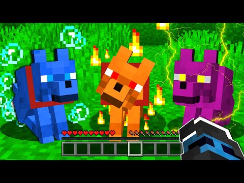 HO MODIFICATO I CANI DI MINECRAFT - ITA