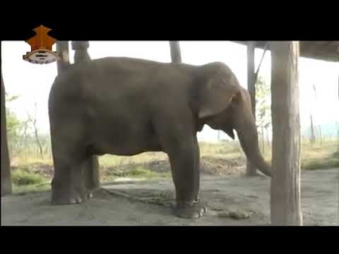 30 April 2014 Nepali News