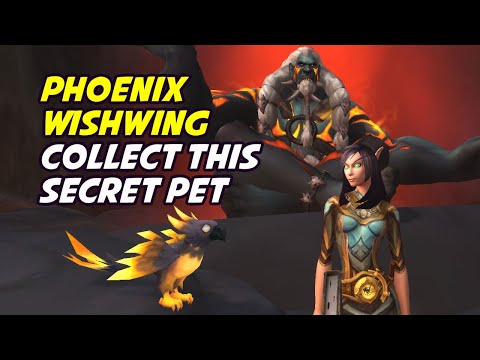 Phoenix Wishwing - Secret Pet