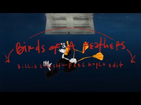 Billie Eilish - Birds Of A Feather ( Feel Koplo Edit)